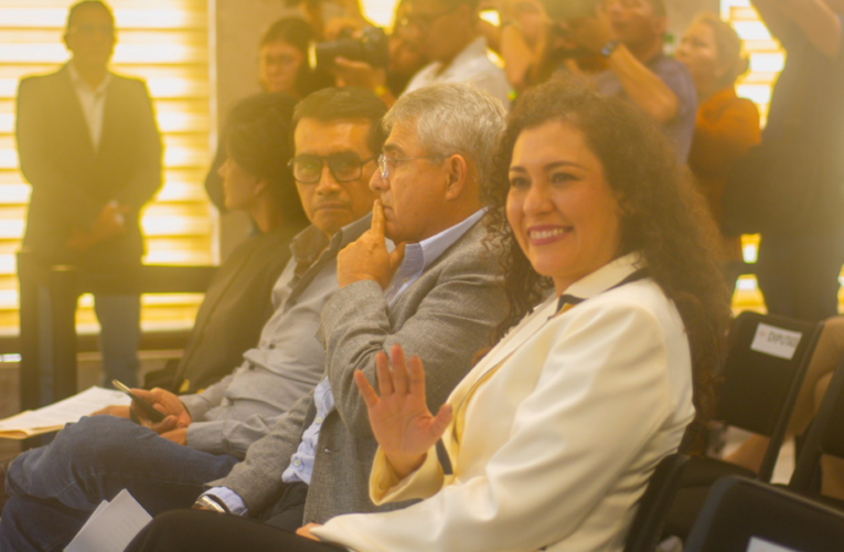 Responsabilidad y compromiso marcan el trabajo legislativo de Ana Rosa Valdés en Veracruz