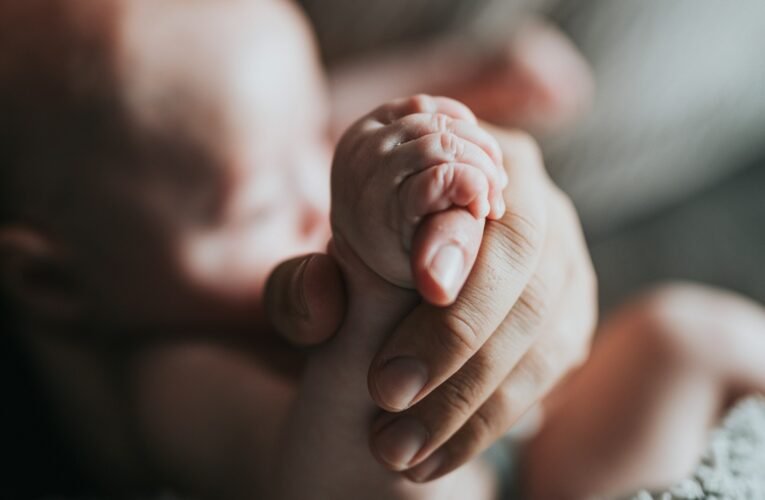 El cerebro de los bebés clasifica los objetos con solo dos meses de edad