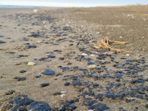 Alejandro Moreno responsabiliza a Morena por derrame de petróleo en el Golfo de México