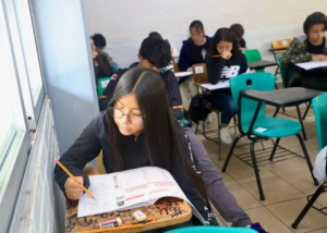 PRI Nacional advierte riesgos por eliminación de materias en el sistema educativo